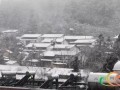 昆明爆料下雪视频最新,市民欢声笑语迎瑞雪