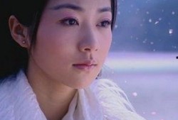 女明星七天爆料图片视频,独家图片视频大揭秘