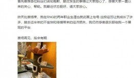 大爆料最新消息新闻网站,最新独家新闻揭秘，震撼来袭！