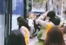 艺兴热巴爆料视频,揭秘娱乐圈不为人知的一面