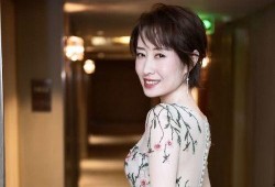 优酷综艺爆料刘敏涛视频,精彩瞬间引网友热议